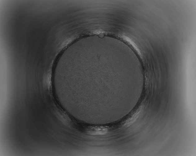 X0000094820443200711161531