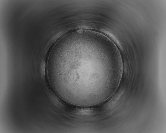 X0000094820445200711161531
