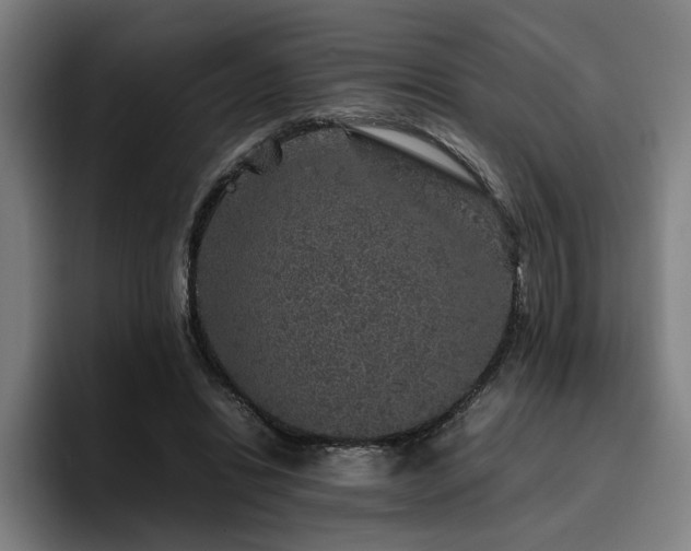 X0000094820446200711161531