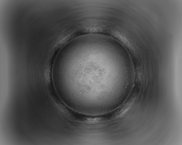 X0000094820450200711161531