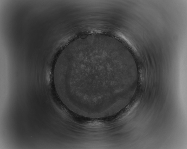 X0000094820451200711161531