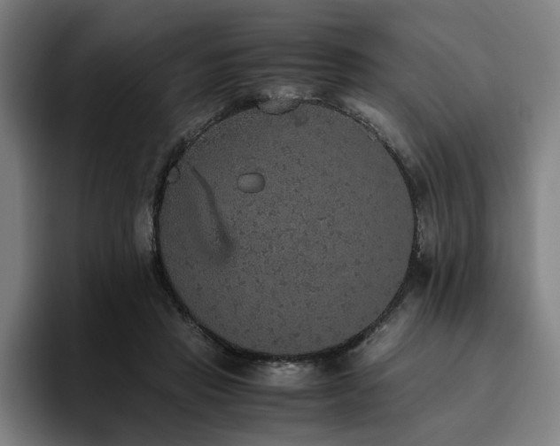 X0000094820453200711161531