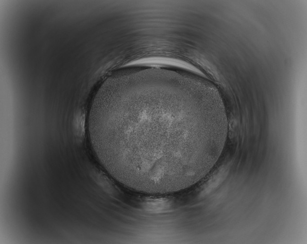 X0000094820454200711161531