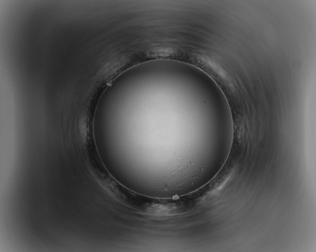 X0000094820455200711161531