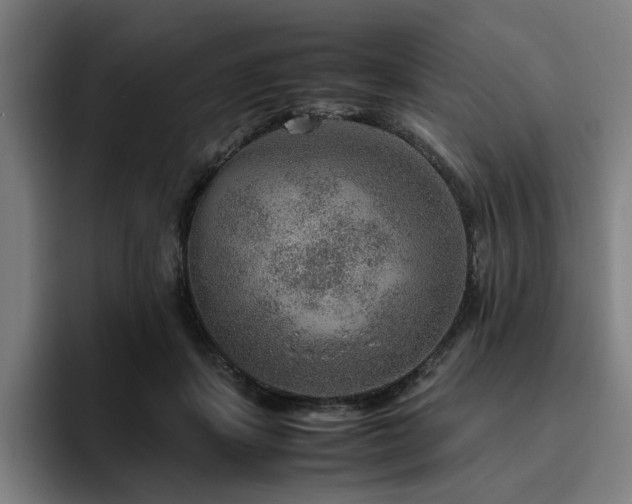 X0000094820459200711161531
