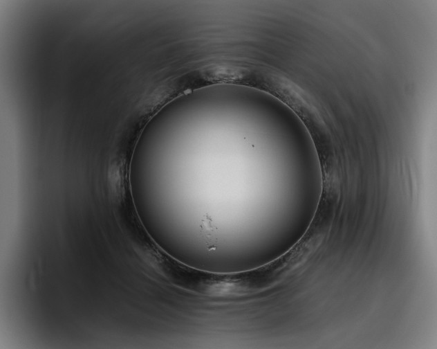 X0000094820460200711161531