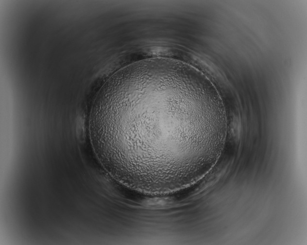 X0000094820461200711161531