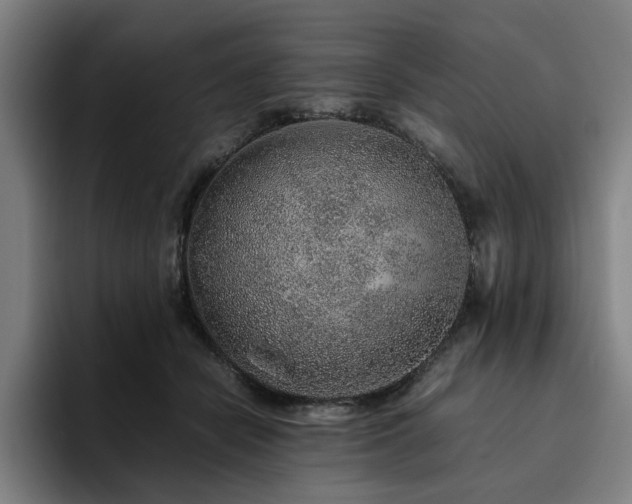 X0000094820462200711161531
