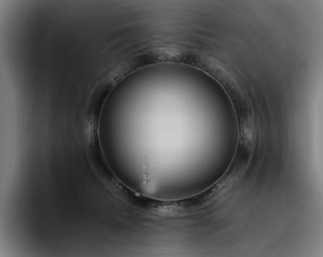 X0000094820468200711161531