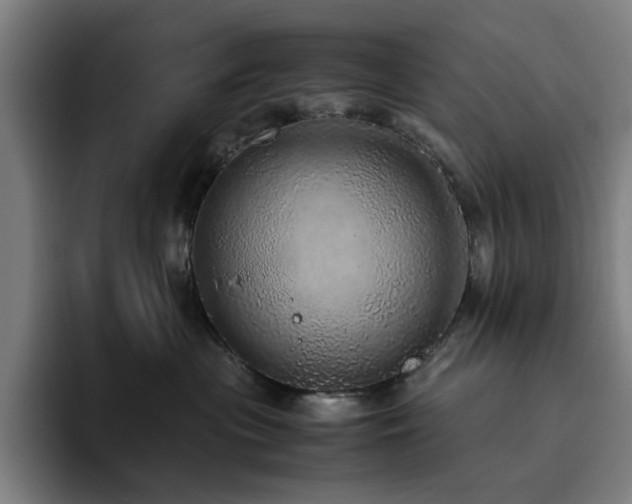 X0000094820477200711161531