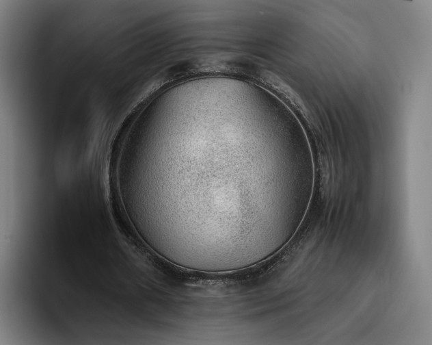 X0000094820482200711161531