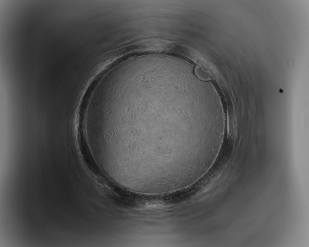 X0000094820483200711161531