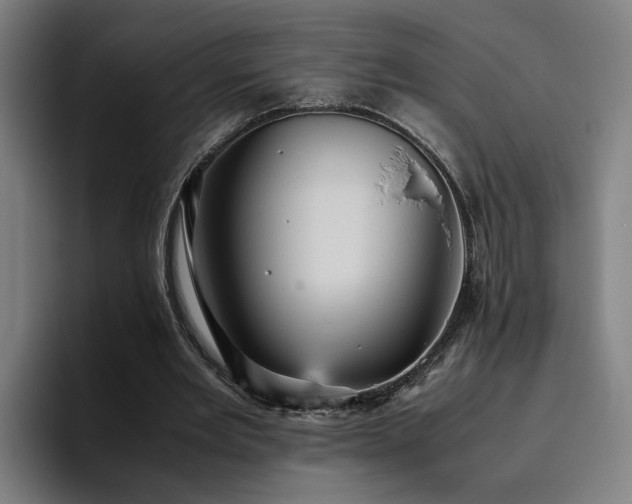 X0000094820485200711161531