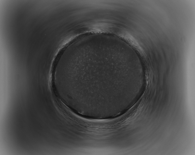 X0000094820488200711161531