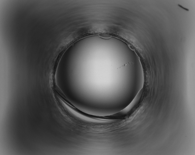 X0000094820489200711161531