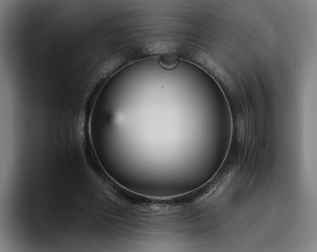 X0000094820490200711161531