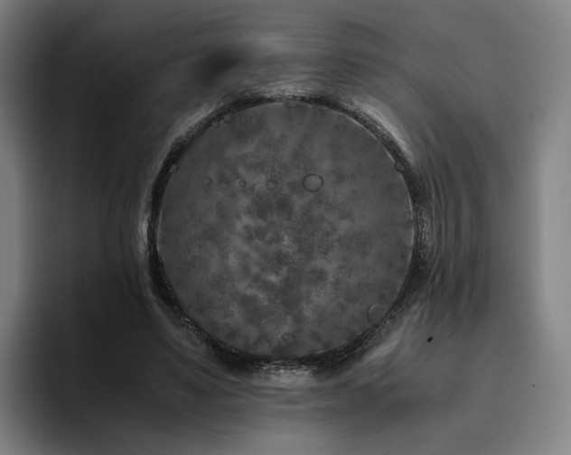 X0000094820491200711161531