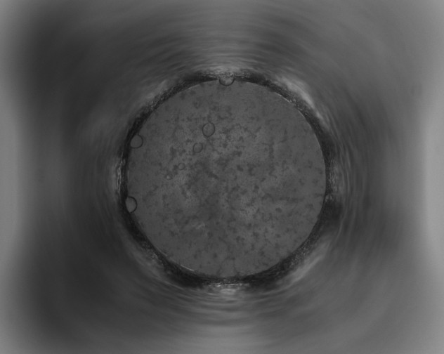 X0000094820495200711161531