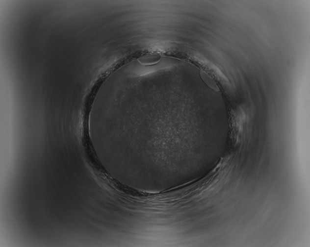 X0000094820496200711161531