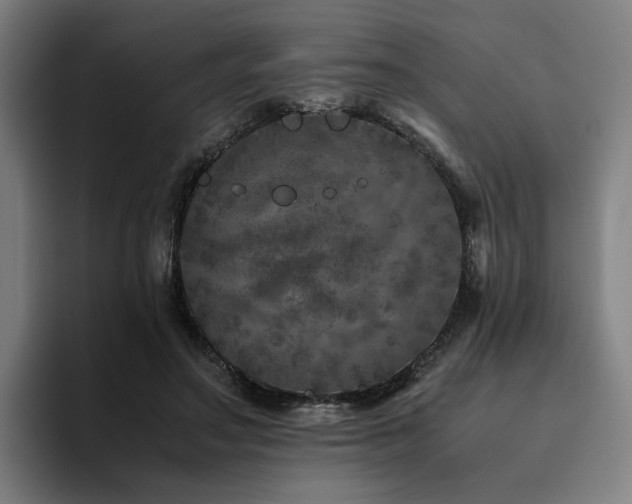 X0000094820499200711161530