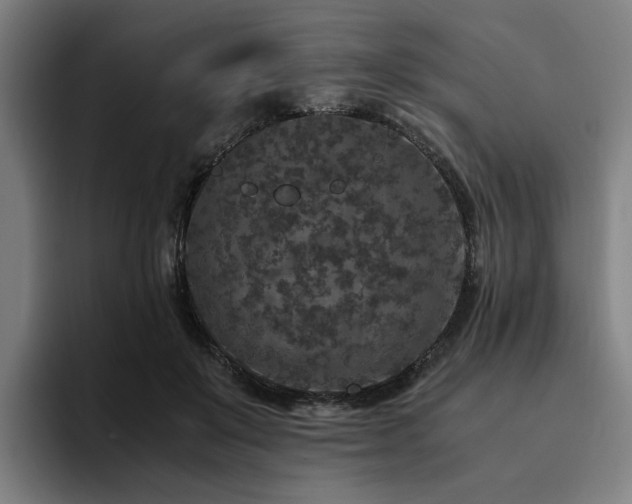 X0000094820503200711161530