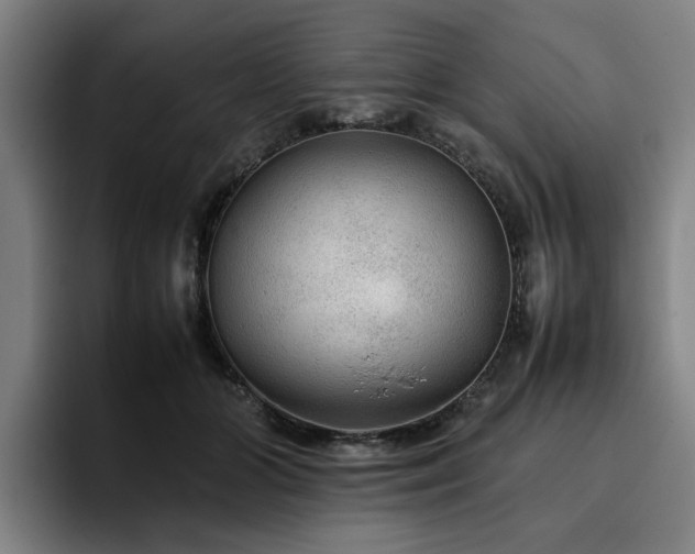 X0000094820510200711161530
