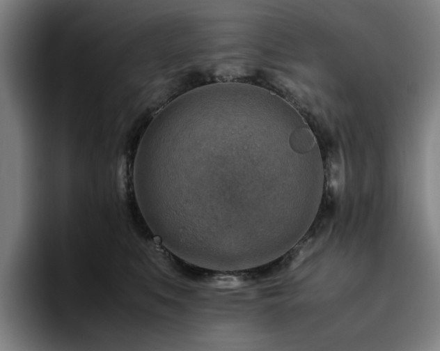 X0000094820519200711161530