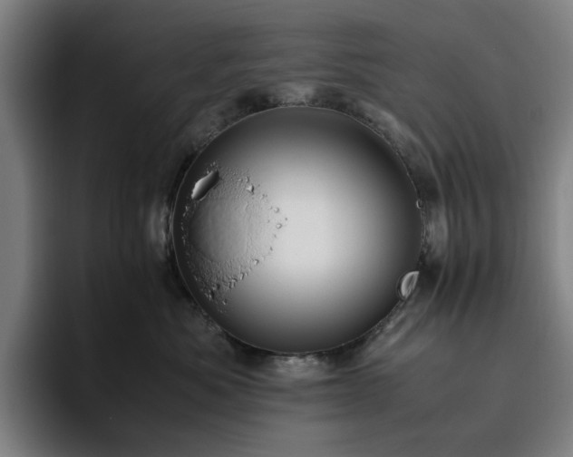 X0000094820525200711161530