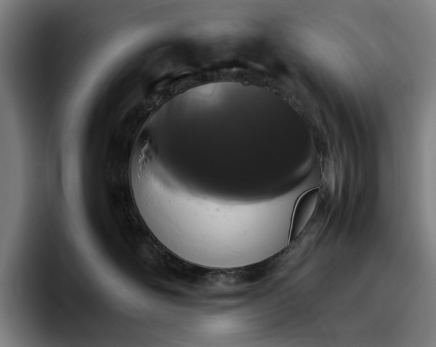 X0000094820526200711161530