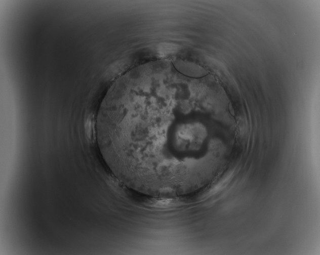 X0000094820527200711161530