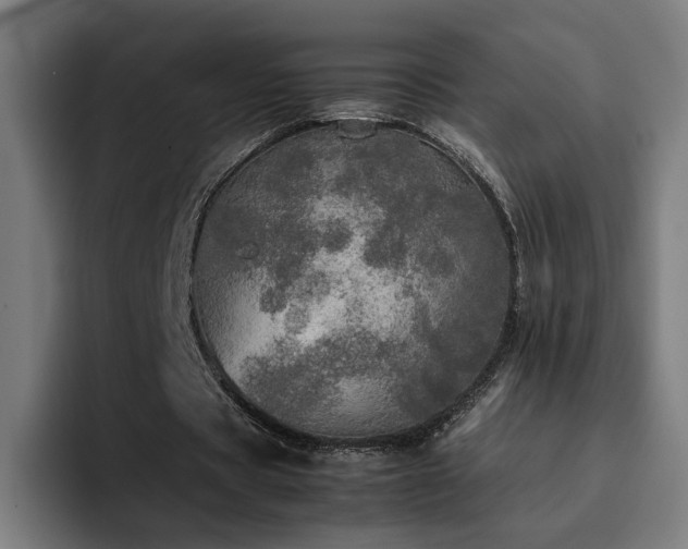 X0000094820529200711161529