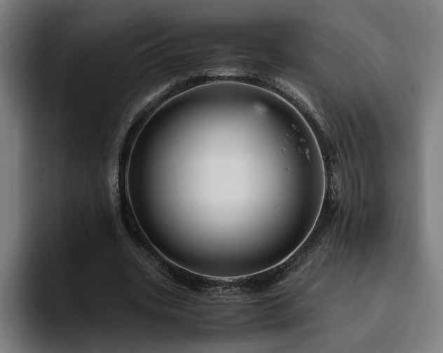 X0000094820535200711161530