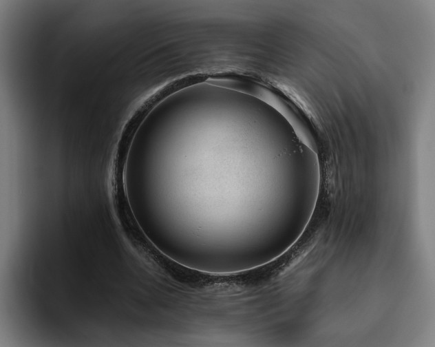 X0000094820536200711161530