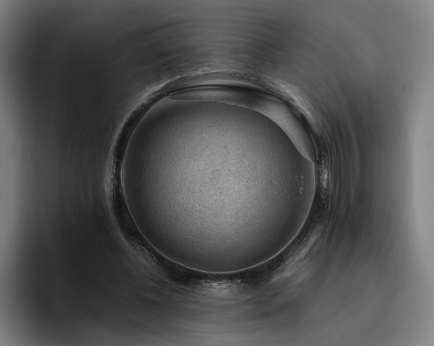 X0000094820540200711161530