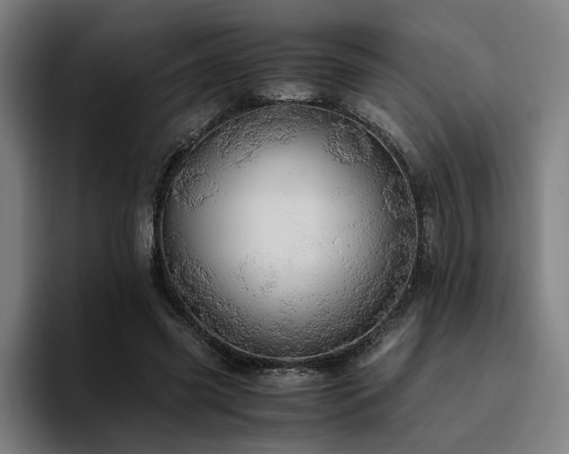 X0000094820541200711161530