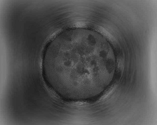 X0000094820542200711161530