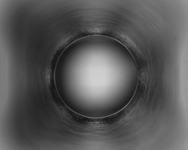 X0000094820544200711161530