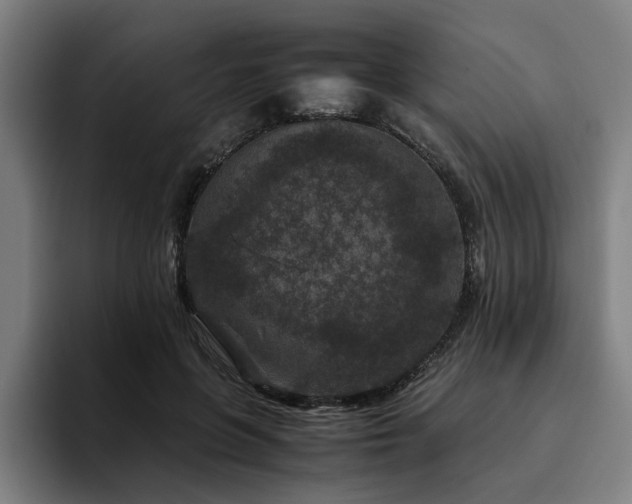 X0000094820551200711161530