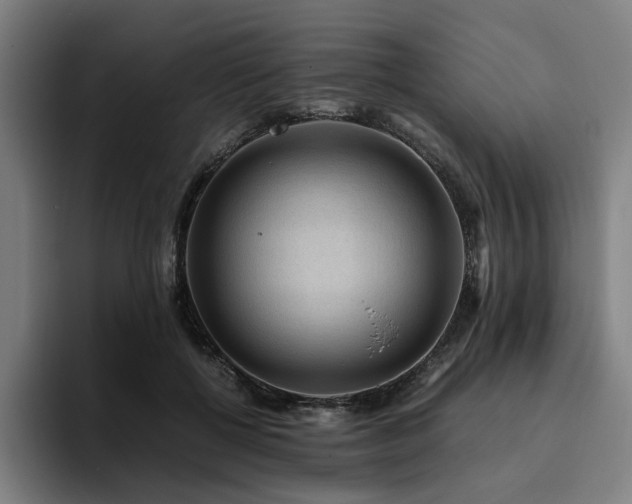 X0000094820552200711161530