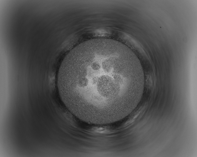 X0000094820557200711161530