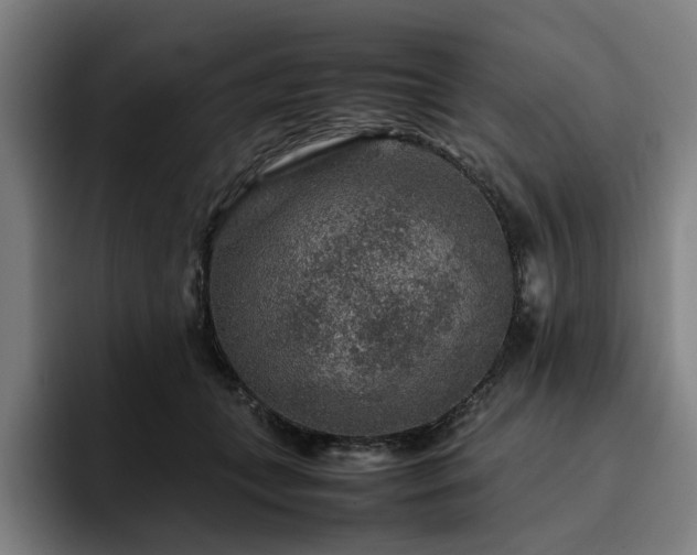 X0000094820559200711161530
