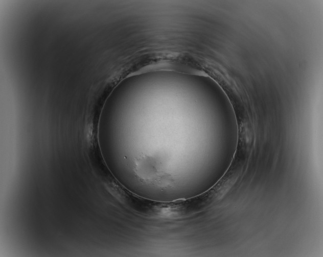 X0000094820564200711161530