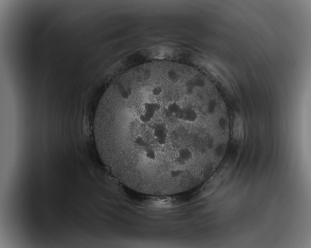 X0000094820569200711161530