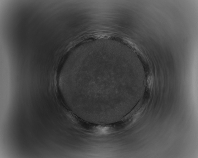 X0000094820570200711161530