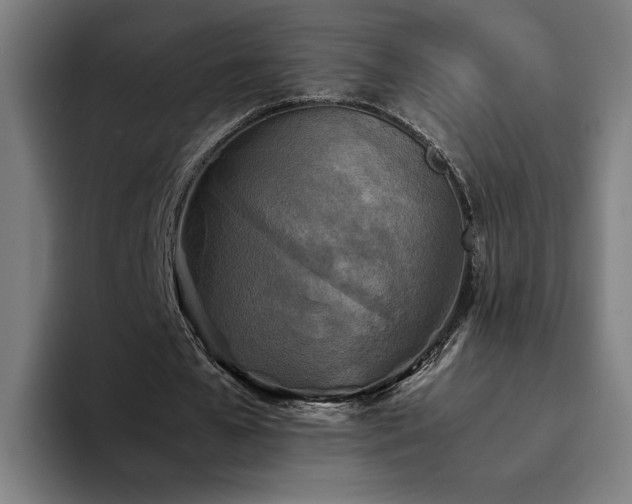 X0000094820577200711161529