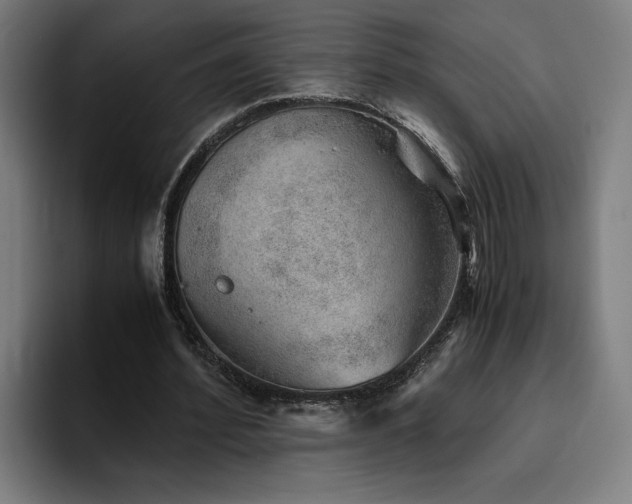 X0000094820580200711161529