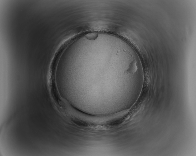 X0000094820583200711161529