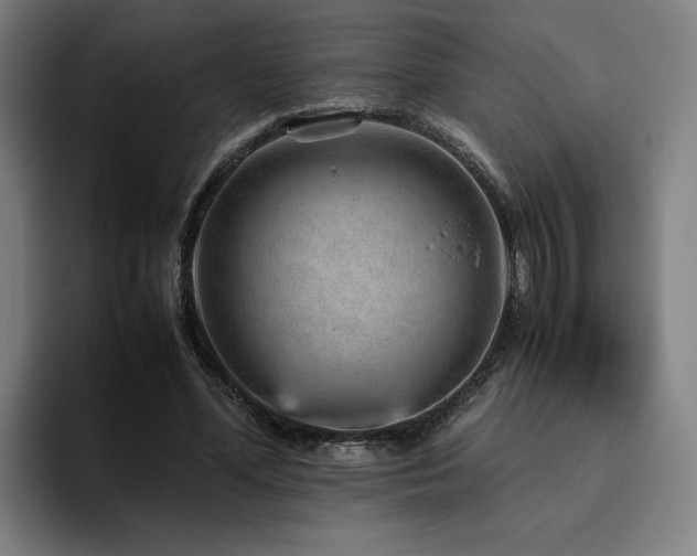 X0000094820588200711161529