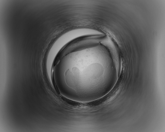 X0000094820589200711161529