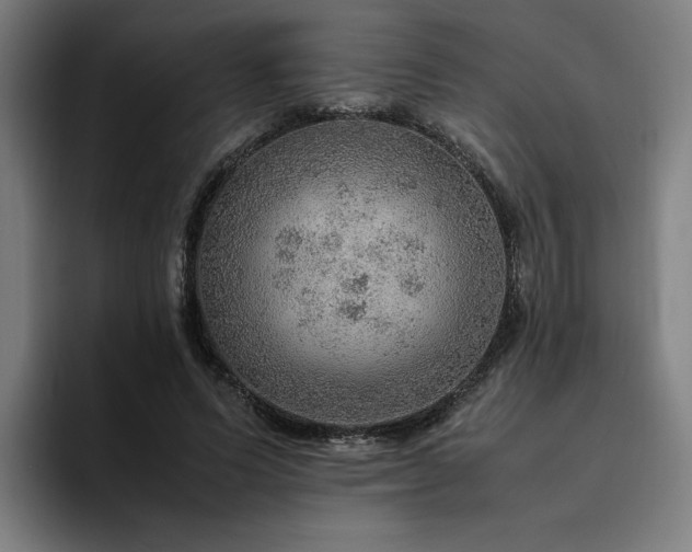 X0000094820591200711161529